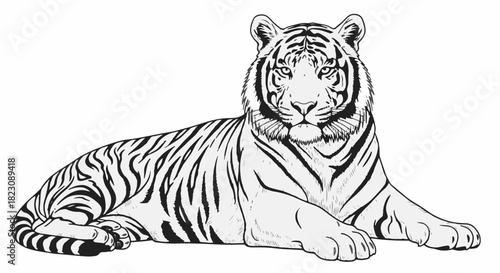 A black and white line art drawing of a tiger lying down. The tiger faces forward, displaying its stripes and features in detail.