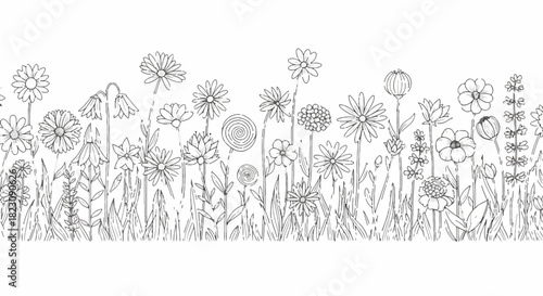 A black and white line drawing depicting a field of various flowers and grasses. It resembles a coloring page or a botanical illustration.