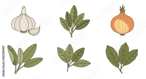 Illustration of various cooking ingredients including garlic, onion, and several sprigs of green herbs like sage or bay leaves.