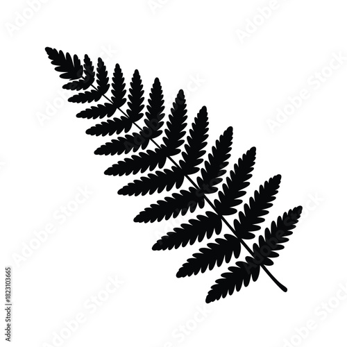 Black silhouette of a fern frond isolated on white background