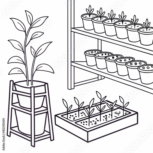 A charming black and white illustration depicting a variety of potted plants and seedlings arranged on shelves and in a tray symbolizing growth and gardening