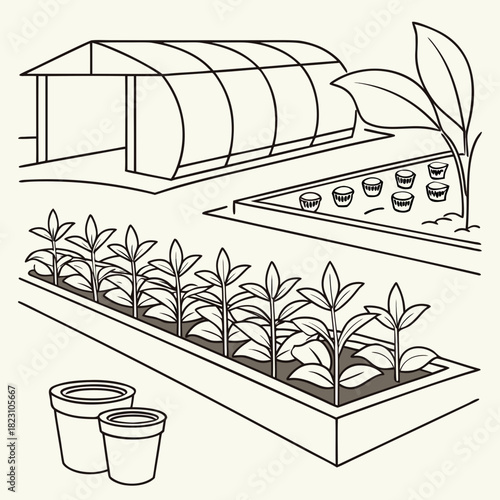 A simple line drawing depicts a greenhouse structure a raised garden bed with young plants a smaller planting area with seedlings in pots and two empty pots