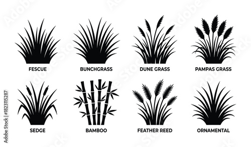 Black silhouettes of various grass types including fescue, bunchgrass, dune grass, pampas grass, sedge.