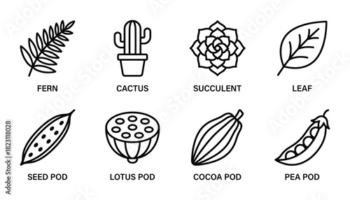Collection of outline icons depicting different plants and seed pods like fern, cactus, and leaf.