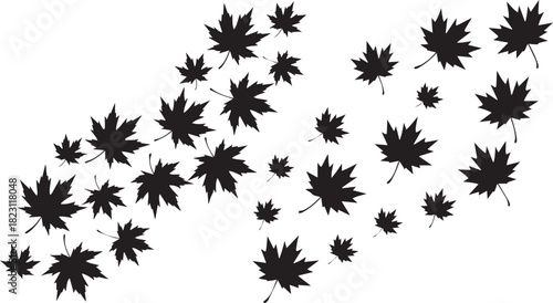 Dynamic scattering of black silhouette maple leaves representing the vibrant autumn season.