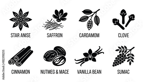 Collection of spice icons. Star anise, saffron, cardamom, clove, cinnamon, nutmeg, vanilla, sumac.