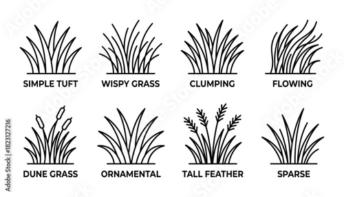 Outline icons of grass types simple tuft, wispy, clumping, flowing, dune, ornamental, tall feather.