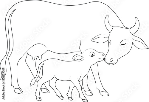 Cow and calf line art for coloring pages