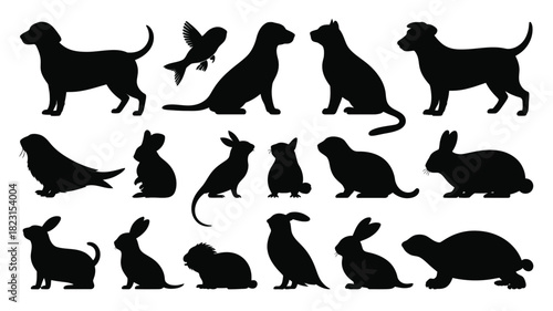 Diverse wildlife and pet animal silhouettes