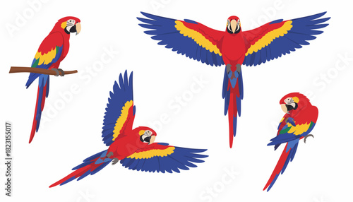 A vibrant collection of colorful macaws in various poses and flying positions