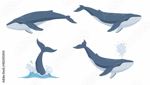 Set of cute blue whales swimming and splashing in the ocean