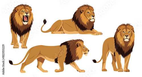 Majestic Lions A Collection of Illustrations of Male and Female Lions in Various Poses