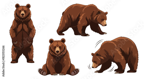 Collection of Brown Bears in Various Poses, Illustrated Standing, Sitting, and Looking Down