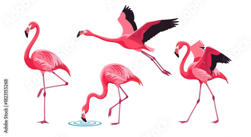 Vibrant Collection of Pink Flamingos in Various Poses and Actions