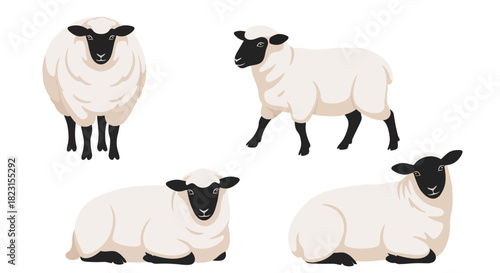 Collection of fluffy sheep in various poses, isolated on white background, perfect for farm and rural themes
