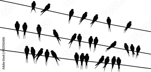 Silhouette birds perched on parallel wires resembling musical staff, creative nature and music concept, vector illustration for stock content in art and wildlife themes