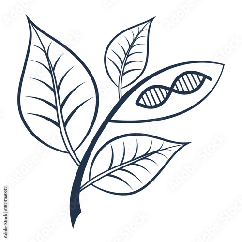 Stylized illustration of a plant stem with leaves one leaf revealing a dna double helix structure symbolizing genetic modification and biotechnology in agriculture and life sciences