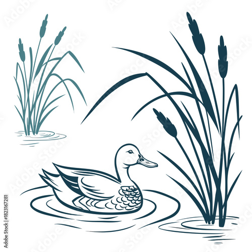 A serene stylized illustration of a single duck swimming peacefully in calm water surrounded by tall reeds and cattails evoking a tranquil wetland scene