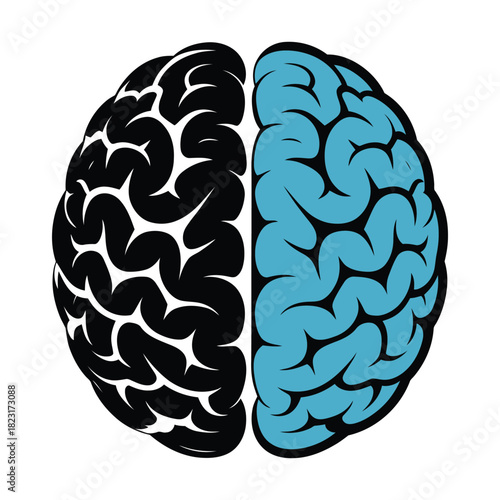 Brain hemispheres logic creativity