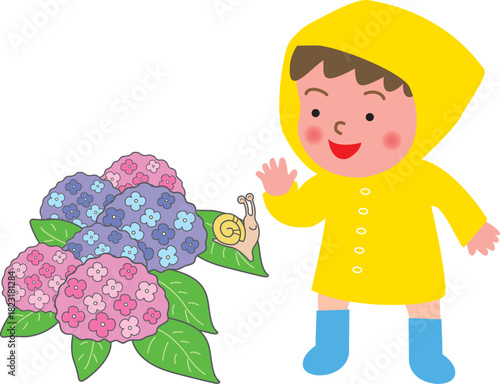 レインコートの男の子と紫陽花
