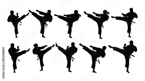 Martial arts kicking silhouettes isolated on white background, Vector