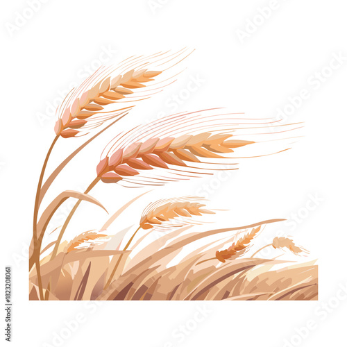 Close up of golden wheat ears in a sunny rural farm field flat vector illustration design