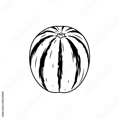 Watermelon outline