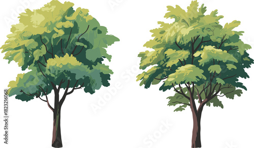 Stylized tree illustration pair, lush green foliage vector, nature design elements, landscape decoration clipart, artistic botanical graphics, eco-friendly icons