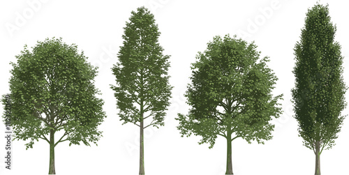 Tree morphology illustration set, diverse canopy shapes, botanical vector design, landscaping elements, nature clipart, seasonal foliage, environmental concept