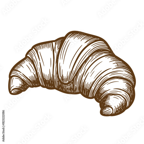 Detailed sketch illustration of a freshly baked french croissant for graphic design projects