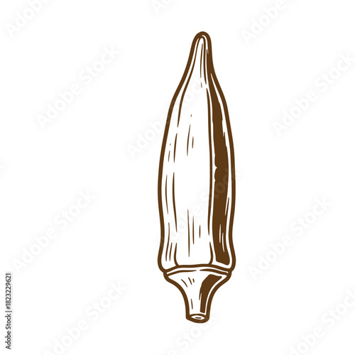 Isolated sketch vintage illustration of a brown okra vegetable on a plain white background