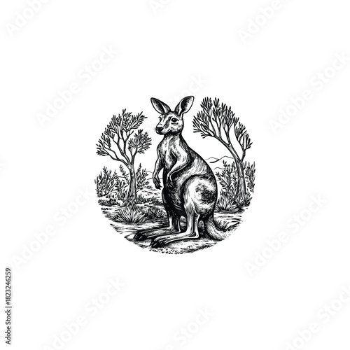 engraving or woodcut illustration depicting a sitting kangaroo amidst dry Australian bush and trees, framed within a circle
