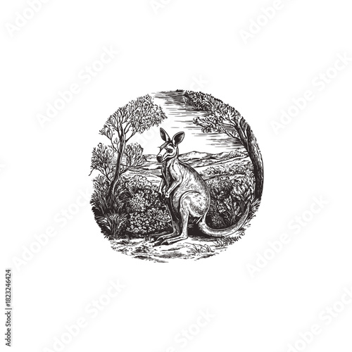 engraving or woodcut illustration depicting a sitting kangaroo amidst dry Australian bush and trees, framed within a circle