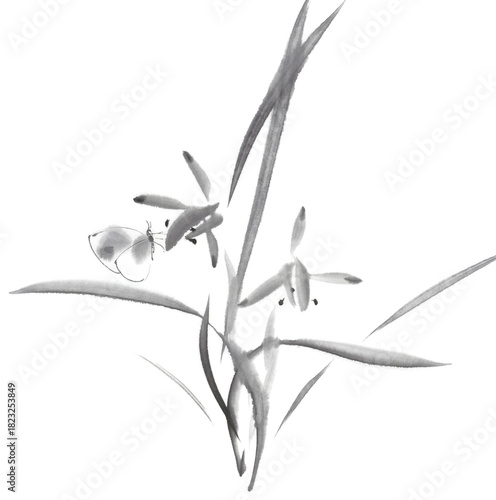 水墨画で描いた蝶と春蘭