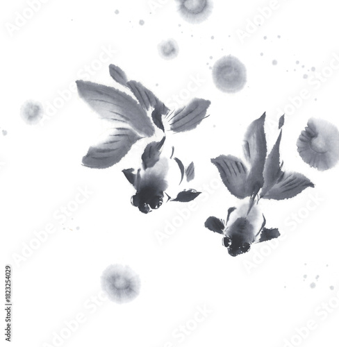 水墨画で描いた出目金