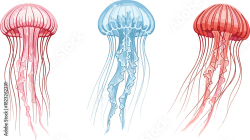 Stylized jellyfish illustration, pink, blue, red, marine life, flowing tentacles, ocean creatures, vibrant design, underwater art, sea diversityStylized jellyfish illustration, pink, blue, red