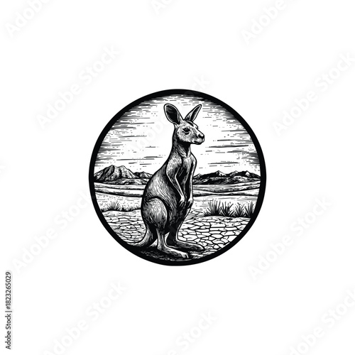 vintage engraving or woodcut illustration depicting a kangaroo standing alertly in a vast, arid Australian landscape with distant mountains