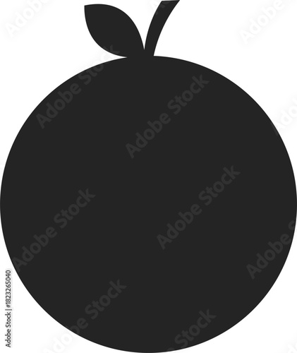 vector illustration of an orange