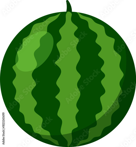 vector illustration of a watermelon