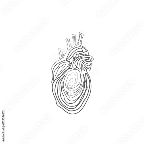Human Heart one line drawing. Human Heart single line illustration. Human Heart minimalist line art