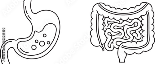 Simple Line Art Icons of the Human Digestive System Organs