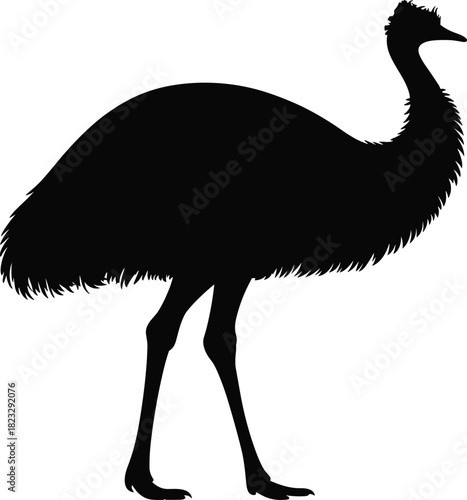 Black silhouette of emu bird standing tall, large flightless bird profile, wild animal illustration, detailed feathers, isolated on white background