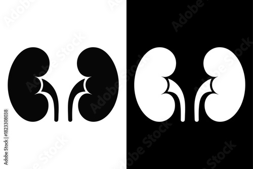 Kidney Icon Vector Collection. Human Kidneys Silhouette Set for Web and Medical Use