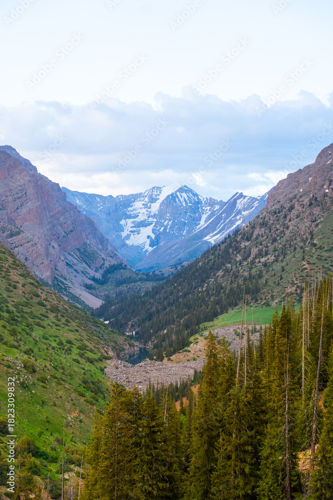 Fototapeta premium Dramatic view looking down a deep, green, forested mountain valley that culminates in a towering, snow-capped peak under a cloudy sky.