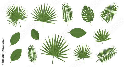 A vibrant collection of diverse green tropical leaves, including various palm fronds and monstera, isolated on a white background for design elements.