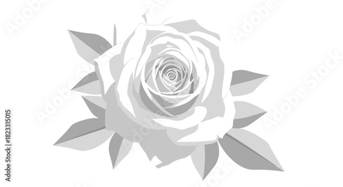 A minimalist white rose illustration with soft grey leaves, set against a pristine white background, featuring a subtly intricate spiral at its core.
