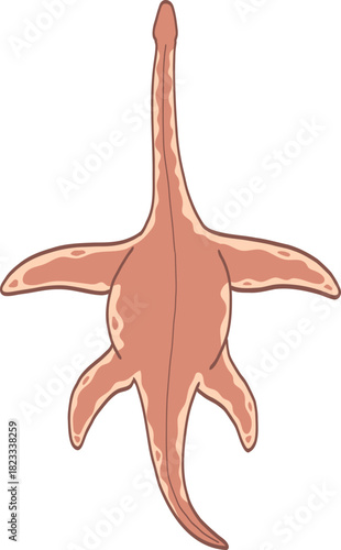 Illustration of top view Plesiosaur swimming.