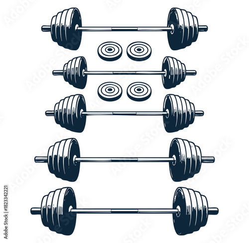 Barbell and weight plate set icon