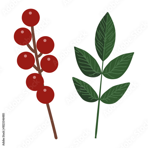 ナンテンの実とナンテンの葉のイラスト