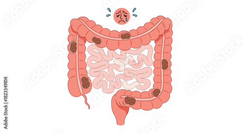 Understanding the intricate workings of the human digestive system and its vital functions within the body.